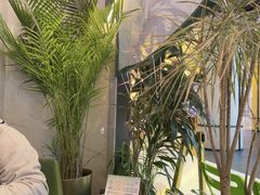 -烹然四季椰子鸡火锅(姚家园万象汇店)
