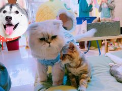 -平行世界·猫咖(首经贸店)