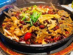 -老板恋上鱼(恒隆广场店)