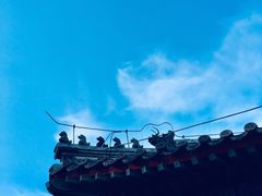 -北京第二实验小学