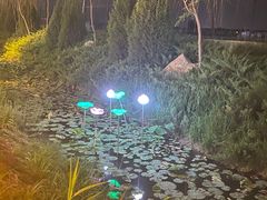 -兴芮温泉度假区