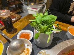 -大龙燚火锅(春熙店)