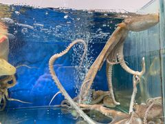 -雅逸居海鲜小厨