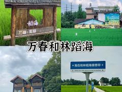 -老鼎万春卤菜(五代传承创始老店)