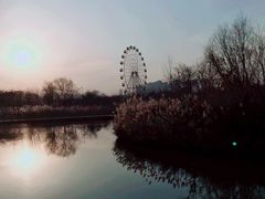 -西安浐灞国家湿地公园