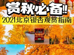 -沉浸北京·团建旅行·密室剧本杀·年会会议轰趴拓展