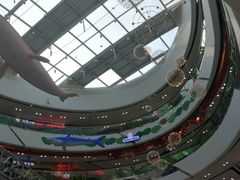 -万达广场(上虞店)