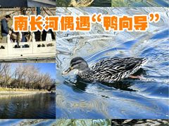 -南长河公园