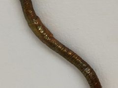 -胶囊画廊