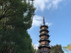 -上海佘山国家森林公园西佘山园