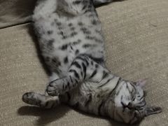 -欢乐酷量贩KTV(万达广场店)