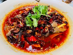 -辛香汇·现炒川菜(淮海路百盛店)