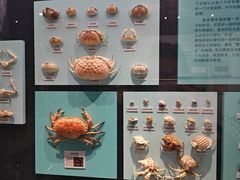 -大连自然博物馆