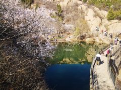 -北京凤凰岭