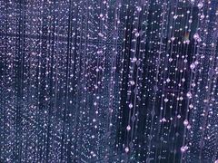 -梵高星空艺术馆(北京旗舰店)