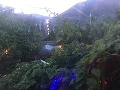-慢丽江·云南野生菌土鸡锅(付家庄店)