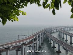 -星海湾跨海大桥