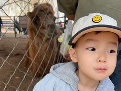 -长白岛森林公园