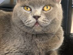 -平行世界·猫咖(首经贸店)