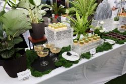 -金茂深圳JW万豪酒店·宴会厅