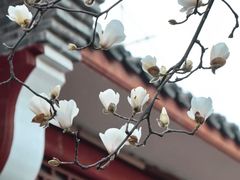 -长春观