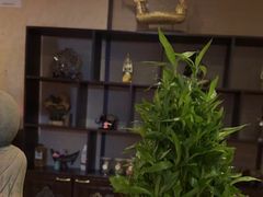 -泰迈·影院式足道SPA(世纪大道店)