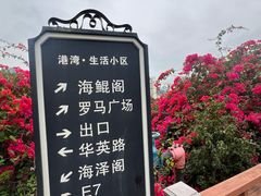 -小南山公园