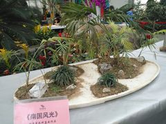 -郑州植物园