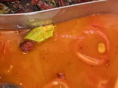 -红姐重庆火锅(曙光路店)