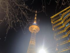 -龙塔