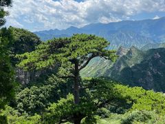 -圣莲山风景区