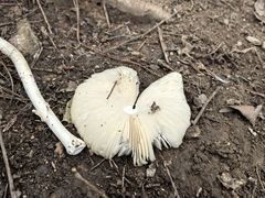 -终南山南五台景区