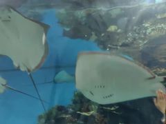 -福州罗源湾海洋世界旅游区