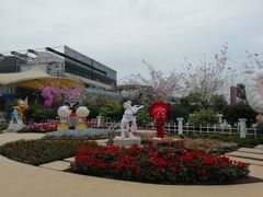 -百万葵园