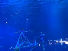 -烟台海昌鲸鲨海洋公园