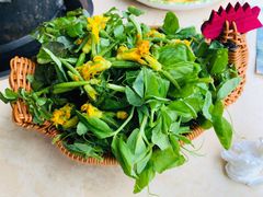 -墨脱石锅椰子鸡•香草鸭•东山羊(大东海店)