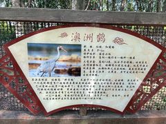 -艾溪湖湿地公园