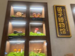-菌自由丨野生菌火锅特色庭院餐厅(丽江古城店)