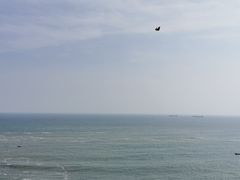 -广东惠东海龟国家级自然保护区