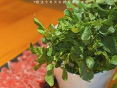 -牛品福潮汕牛肉火锅(旺庄店)