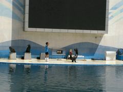 -北戴河圣蓝海洋公园