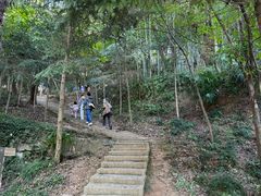 -上海佘山国家森林公园天马山园