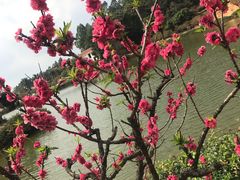 -南国桃园旅游度假区