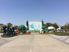 -上海都市菜园