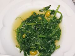 -眉州东坡(亚运村店)
