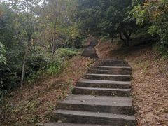 -风云岭森林公园