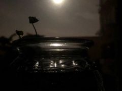 -陈氏龙虾·干锅鸭头