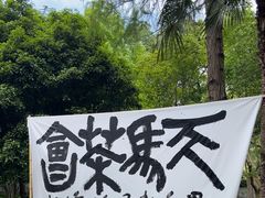 -上海佘山国家森林公园天马山园