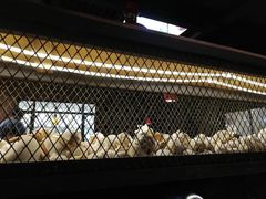 -大碗厨 25年老字号 现炒湘菜(四季天地店)