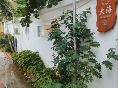 -大海别墅民宿农家院(十渡店)